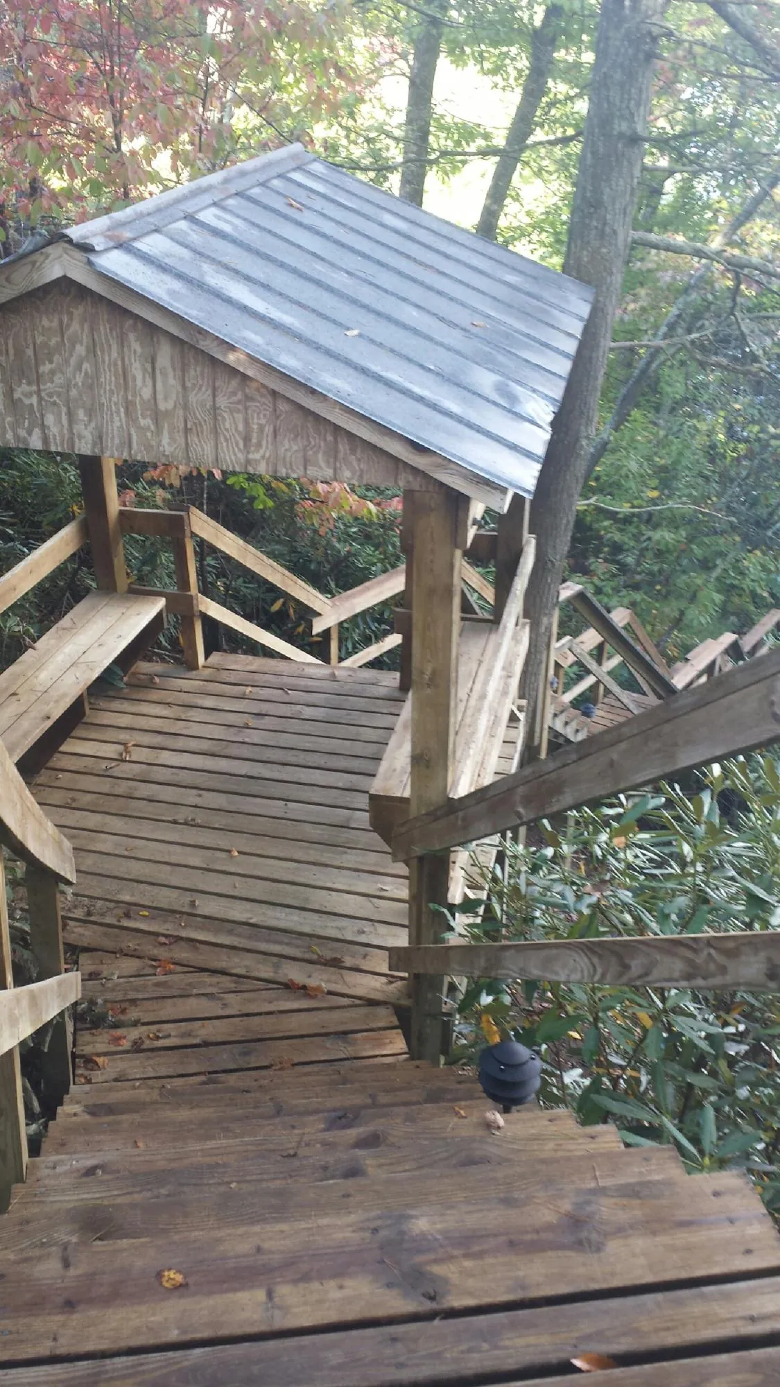 Metal roofed shelter over wooden steps on a wooded walkway — Skylight Repair & Installation work by our crew in Fall City