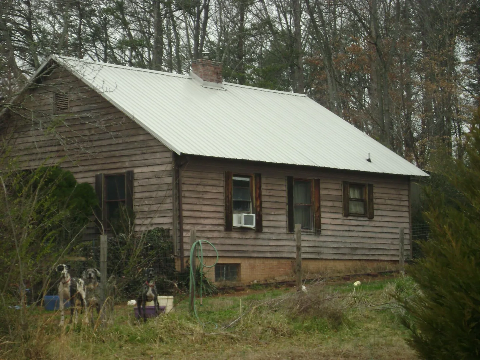 White metal roof on an old wood sided farmhouse, from a Asphalt Shingle Roof Repair job in Fall City